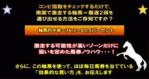 驚異の的中率！「南関馬券メソッドα チェック★ザ★ダブルスターがもたらす競馬予想の新時代