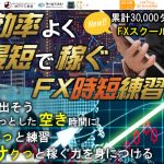 【実体験レビュー】MT4裁量トレード練習君プレミアム2 リアルな使用感とユーザー評価